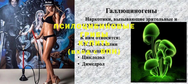 PSILOCYBIN Володарск
