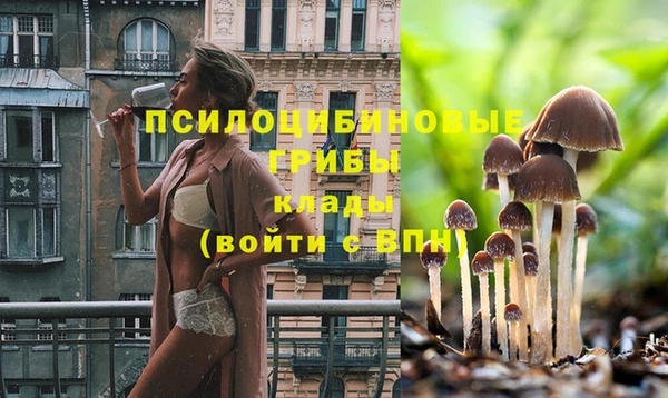 круглые Горняк