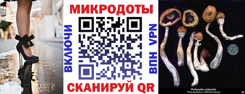 Псилоцибиновые грибы GOLDEN TEACHER  Ершов 